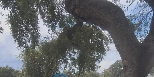 Erin Boone & Chrissy DeRado @ Neptune Grill