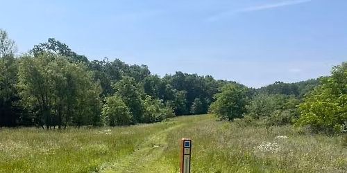 Fayetteville Traverse Build