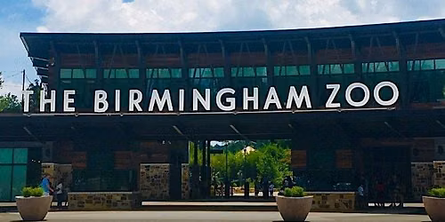 Magic City Wildlife Weekend at Birmingham Zoo