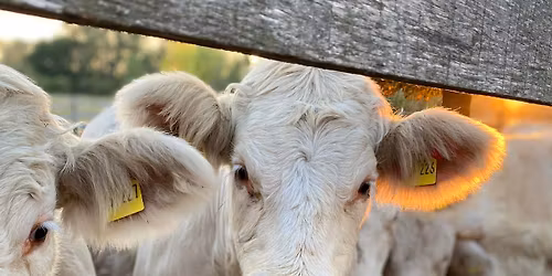 Hedderich\u2018s Maifest \ud83c\udf89 