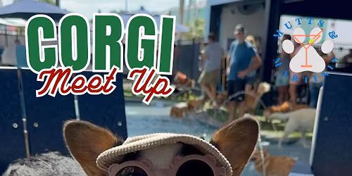 Corgi Meet Up at Mutts & Martinis