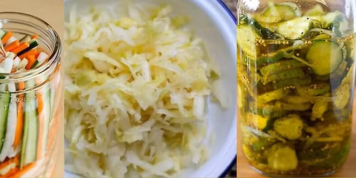 Novemberi Ferment\u00e1l\u00f3 M\u0171hely