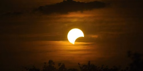 Sortie : Eclipse solaire en Baie de Canche