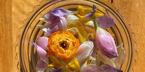 Flower Essence Workshop