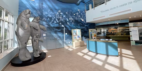 Sensory Friendly Hour