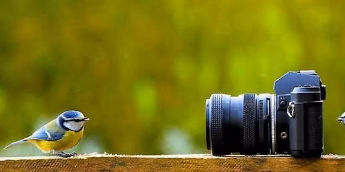 Through a New Lens - Nature Photography