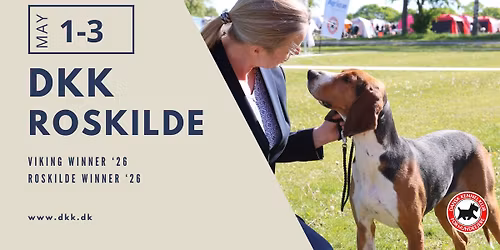 Tredobbelt udstilling i Roskilde