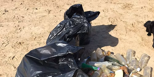 Beach litterpicks