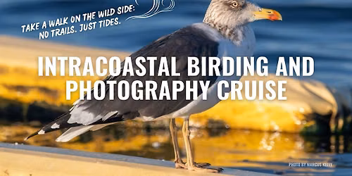 Intracoastal Birding and Photography Cruise