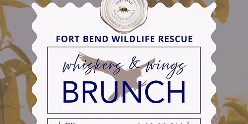 Whiskers and Wings Brunch