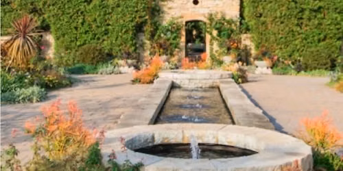 Sketch Together at Olbrich Gardens in the Late Summer Blooms