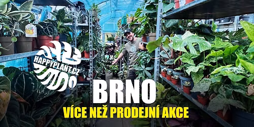 Mat\u011bj z HAPPYPLANT \ud83c\udf3f Pokojovky p\u0159\u00edmo ze sklen\u00edku\ud83d\udd25BRNO