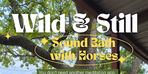 Sound Bath with Horses