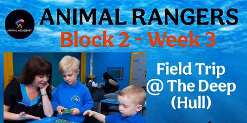 The Deep Education Trip 