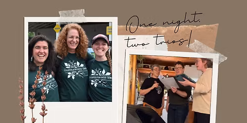 Tanglewood Trio and Good Things!