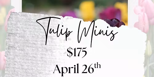 Tulip Minis