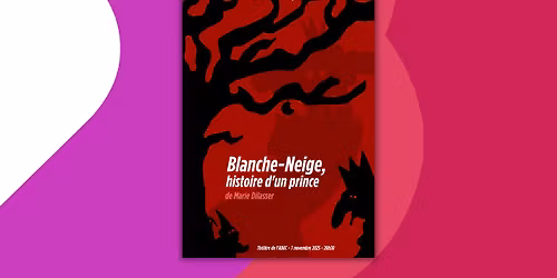 Blanche-Neige, histoire d'un prince, par En Carafe