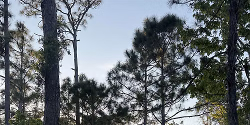 Explore Natural Martin Nature Walk