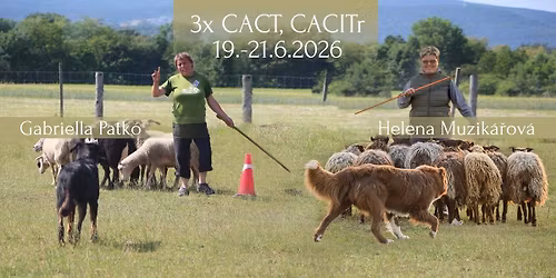 \u010cervnov\u00e9 z\u00e1vody Soum\u011b\u0159 3x CACT, CACITR .
