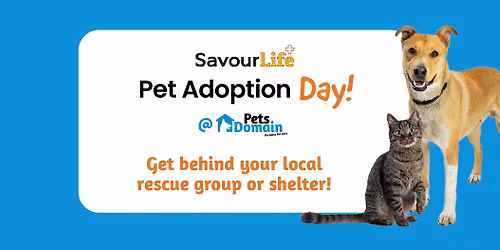 National Pet Adoption Day | Albury Animal Care Centre