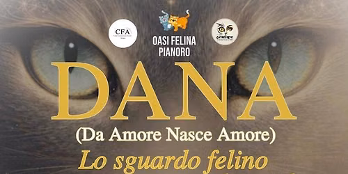 DANA - Da Amore Nasce Amore. Lo Sguardo Felino Sul Mondo