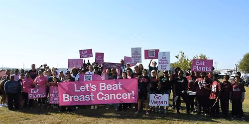 Let's Beat Breast Cancer! 2026