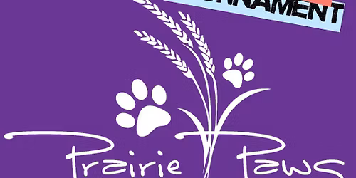 Prairie Paws Fundraiser: Coed 6s Beach Volleyball Tournament at 785 Dive