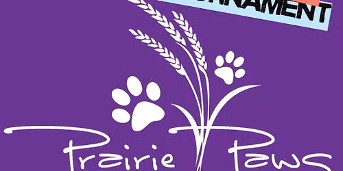 Prairie Paws Fundraiser: Coed 6s Beach Volleyball Tournament at 785 Dive