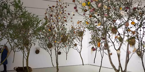 Plants & Practice - Layla Robinson
