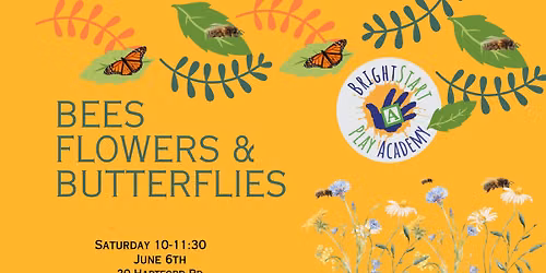 Bees Flowers and Butterflys Theme for the Play Academy