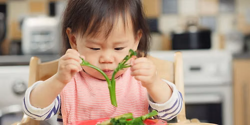 Introduction to Solid Foods Workshop, 10:00 - 11:30, 29\/10\/2026
