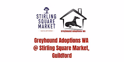 Stirling Square Market Guildford