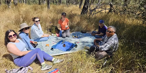 Spring Forest Immersion Walk