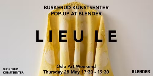 PERFORMANCE: Buskerud kunstsenter x Blender, OAW-pop-up