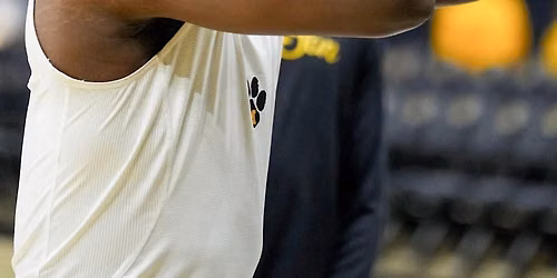 Vanderbilt Commodores at Missouri Tigers Womens Volleyball at Hearnes Center