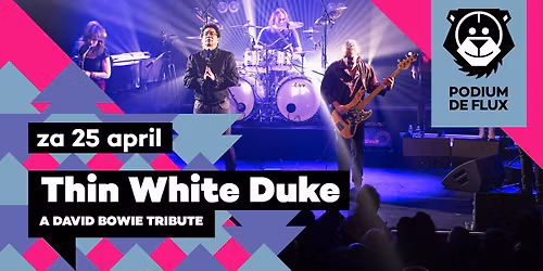 Thin White Duke - A David Bowie tribute