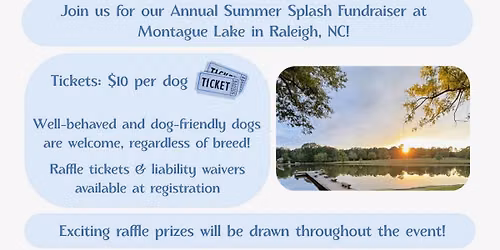 Summer Splash!