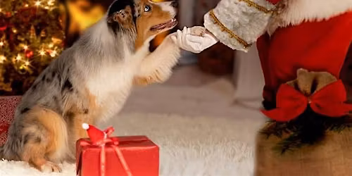 Pet Pictures with Santa