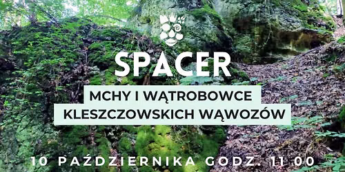 Spacer briologiczny \u2013 Mchy i w\u0105trobowce Kleszczowskich W\u0105woz\u00f3w z dr Mariuszem Wierzgoniem