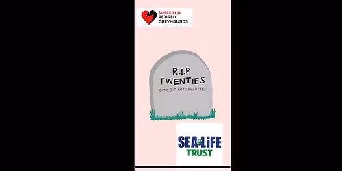 Shannon\u2019s thirty, flirty and thriving charity ball