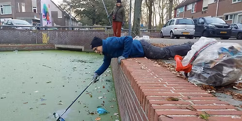 Beverwaard van grauw naar groen!