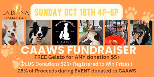 Gelato Love for Dogs:   CAAWS Fundraiser Sunday, October 18th 4p-6p