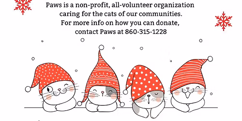 Small Business \u201cCaturday@