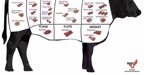 Pasture to Plate: A Beef Workshop