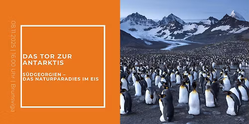 Das Tor zur Antarktis | S\u00fcdgeorgien \u2013 das Naturparadies im Eis