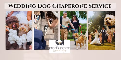 8\/2\/26 Precious Pets Weddings at The Staffordshire County Showground Wedding Show