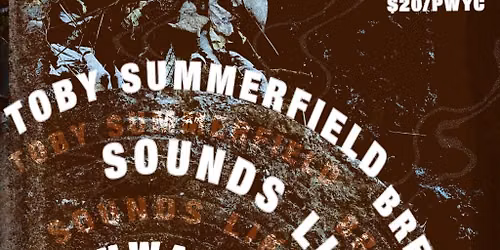 Toby Summerfield
