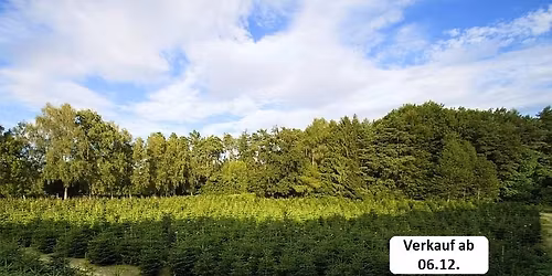 Christbaum-Verkaufsstart 2025