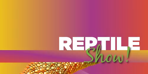 Reptile Show - Live at Jelly Bean Entertainment!