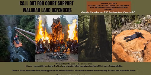 Call Out :: Court Support Walbran Land Defenders 